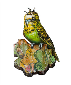 "King Budgie"