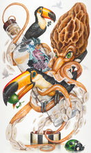 "The Morel of the Story"